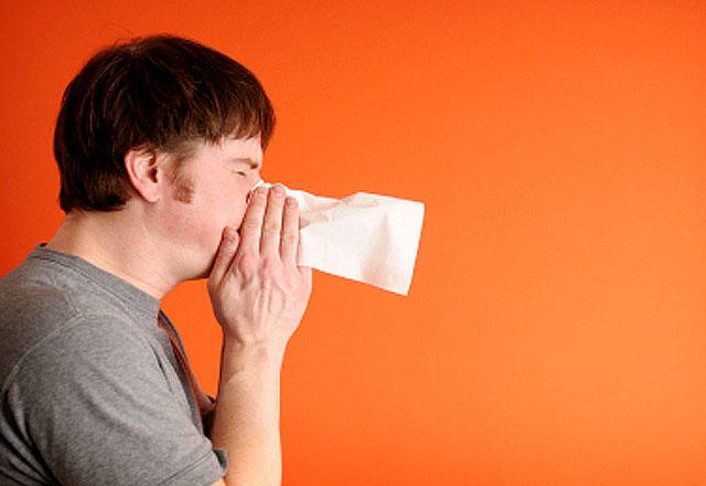 Prevent and Treat Allergies